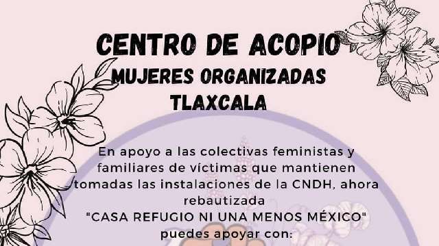 Mujeres tlaxcaltecas realizan colecta en apoyo a activistas que tienen...