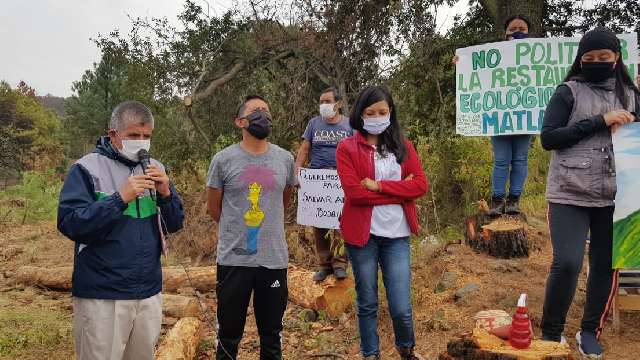 Exigen pobladores y activistas agilizar remisiones para sacar madera d...