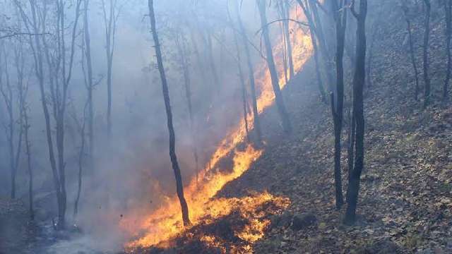 Incendios han afectado casi 2 mil 500 hectáreas en Tlaxcala