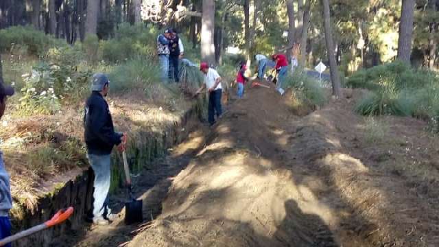 Realiza CGE trabajos de sanidad forestal en Chiautempan