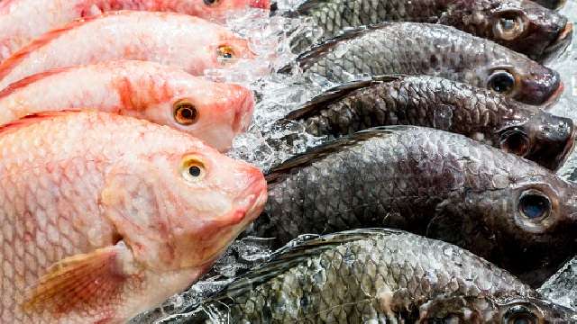 No ha todos les ha ido mal, aumentan ventas de pescado por cambios de ...