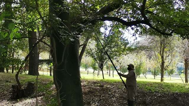 Aplica CGE programa de saneamiento en el jardín botánico de Tizatlá...