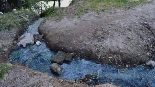 Denuncian descarga de aguas residuales en manantial de Amaxac