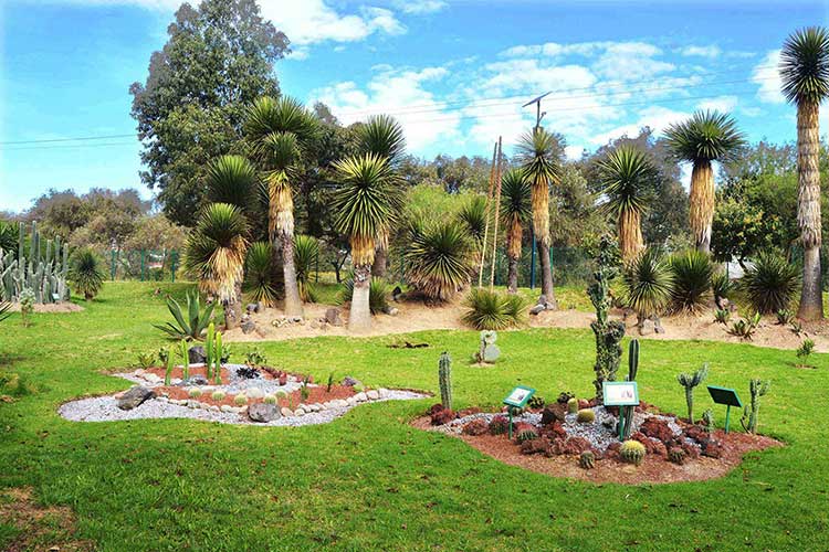 Ofrece gobierno del estado espacios naturales para convivencia familiar