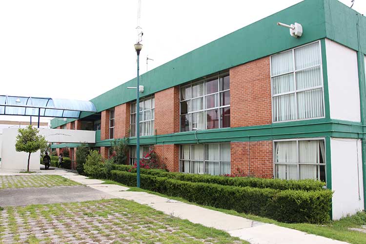 Recupera PGJE 70 porcinos hurtados