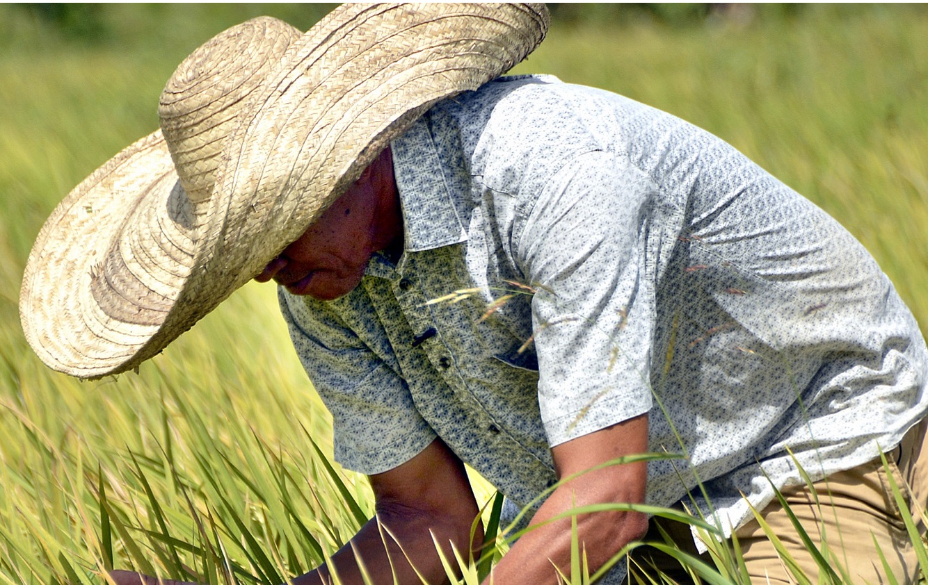 Tlaxcala perdió 15 mil agricultores en el último año