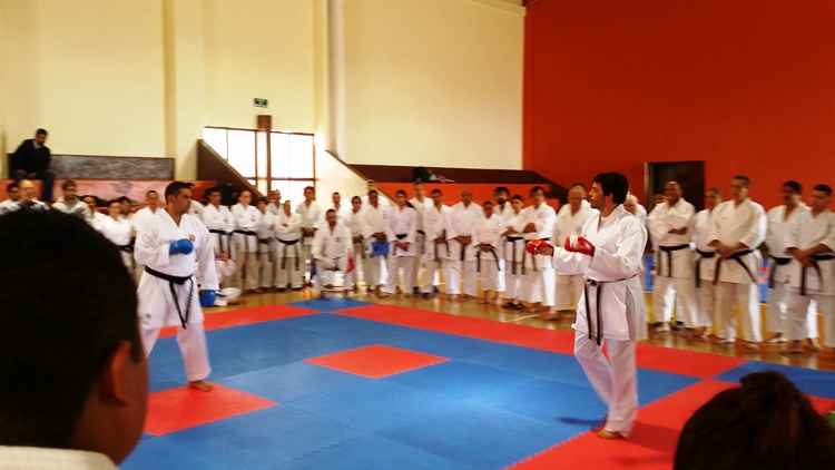 Cumple Crart como anfitrión en Seminario de Arbitraje de Karate Do