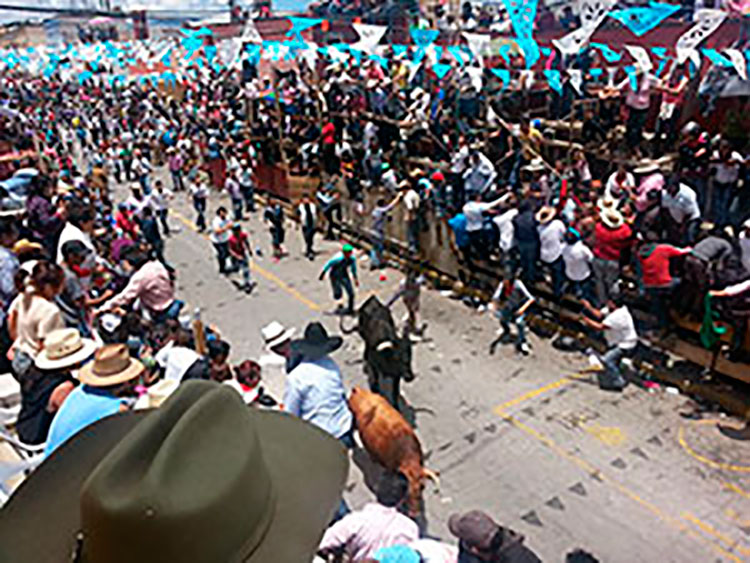 Suspende SESA rueda de prensa tras Huamantlada